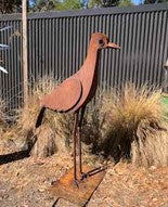 LAS - A Sardone - Bush Stone Curlew